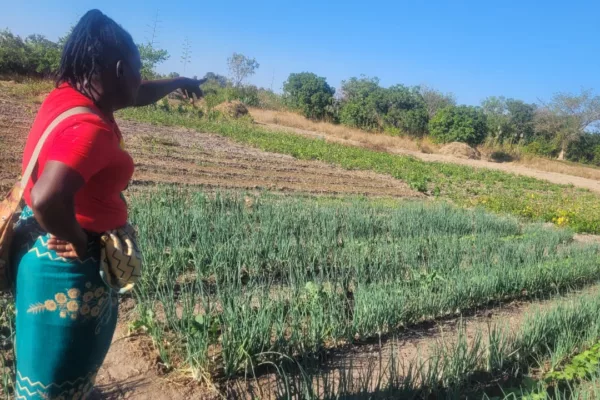 Agroecology Helps Zvimba Woman Achieve Self-Reliance