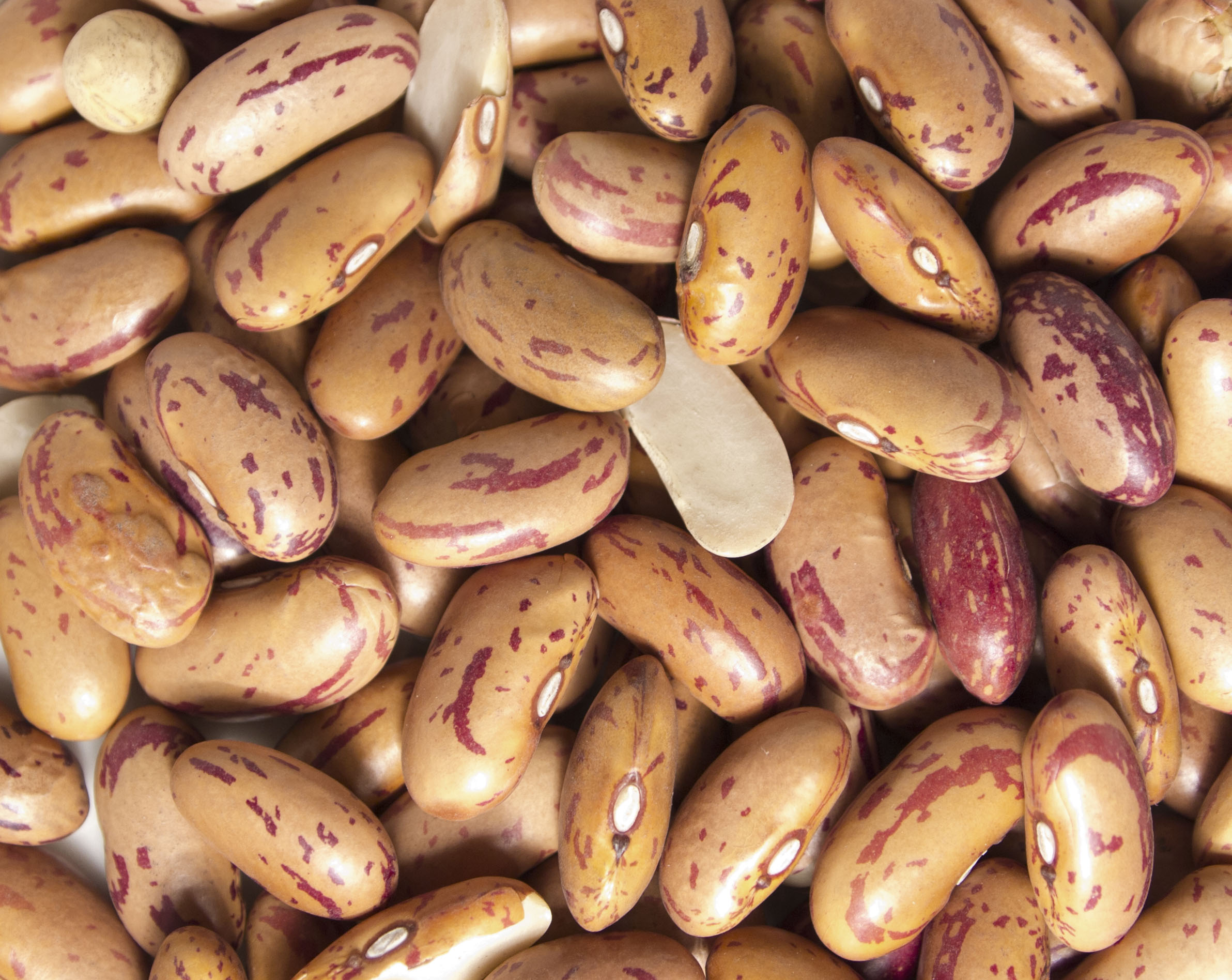 A New Bean Product Development and Scaling in East Africa