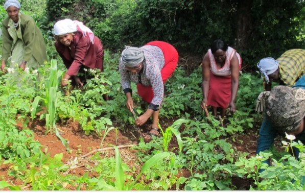 ZGC Hails Rural  Women’s Participation in Food Security and Poverty Reduction