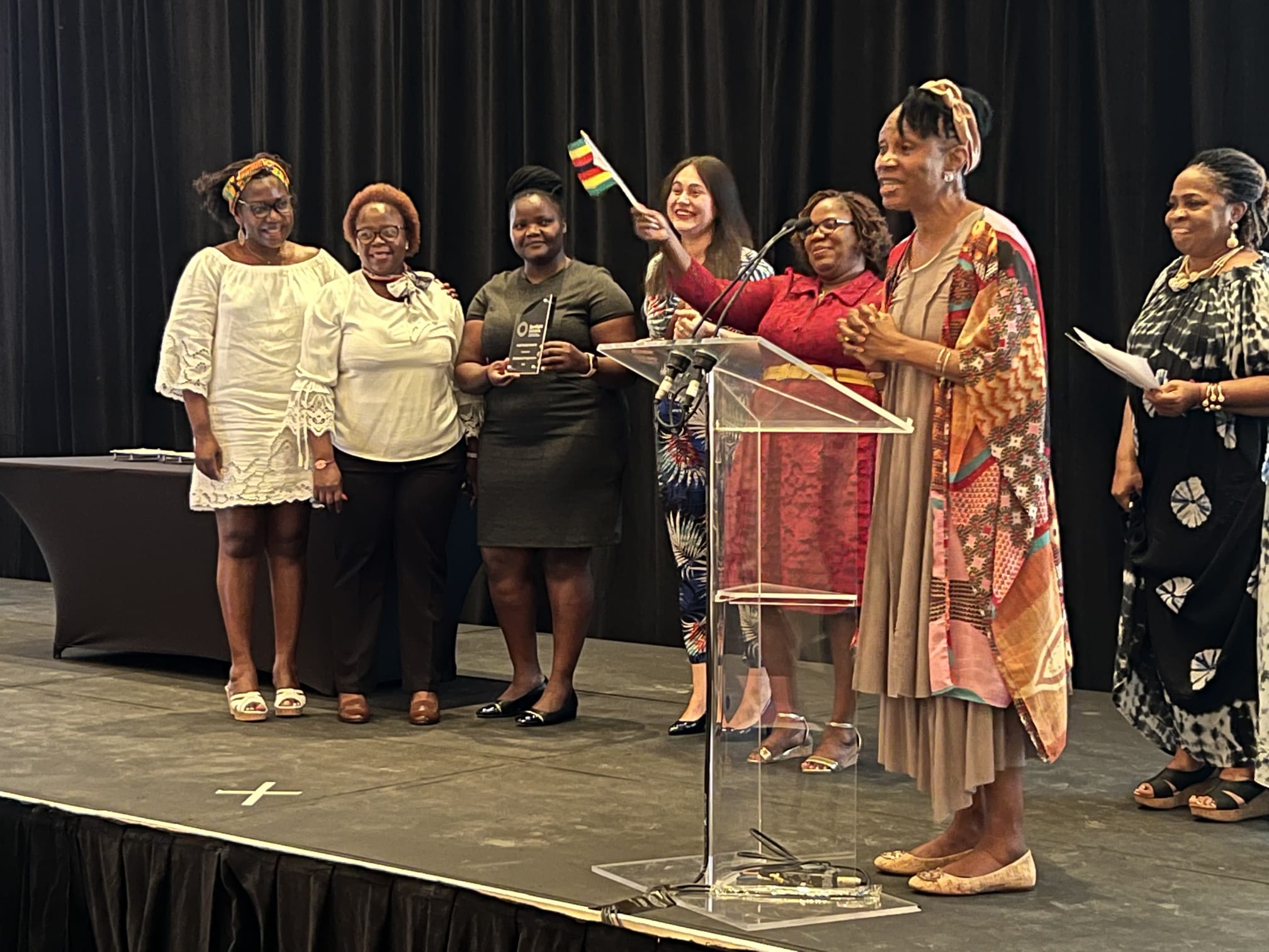 Zimbabwe wins global award on efforts to end violence against women