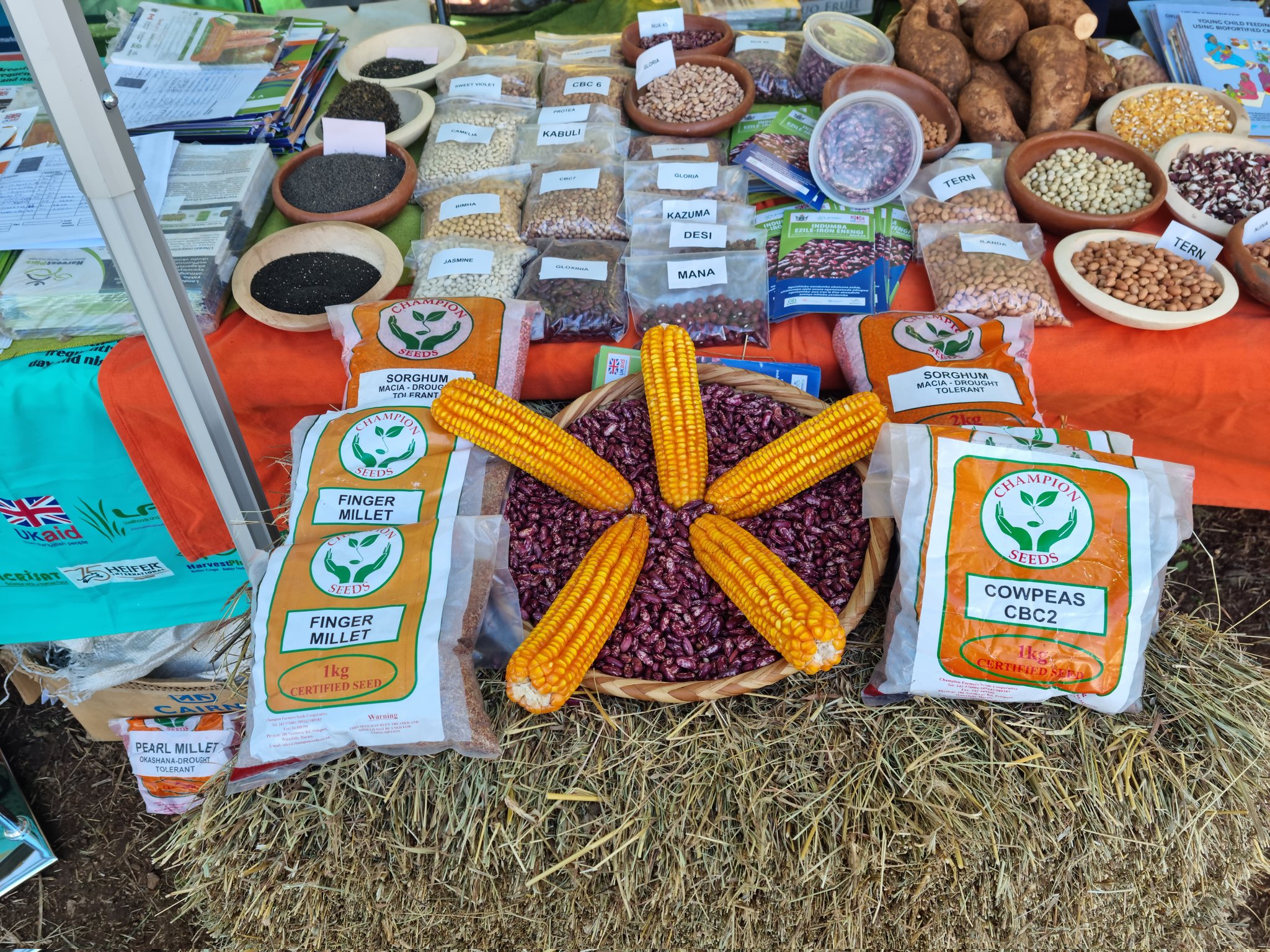 ‘My Food is African’ campaign launched at the National Seed Fair