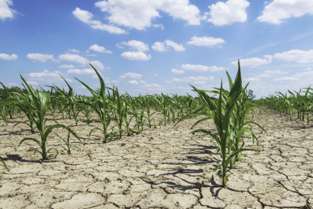 Climate change weighing on agriculture