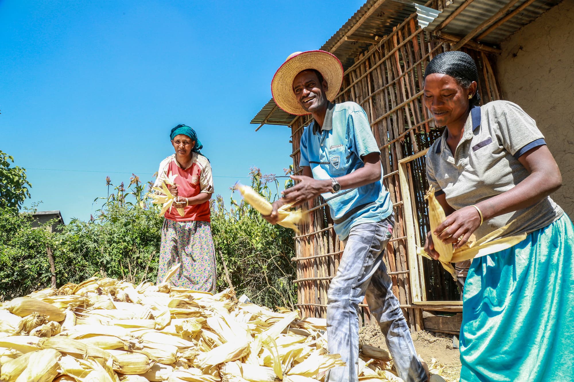 Ethiopia using digital tools for enhanced food security