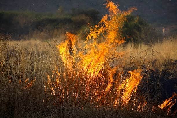 EMA urges veld fires victims to file reports