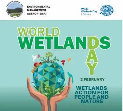 CSOs amplify calls for preserving wetlands to mitigate climate change