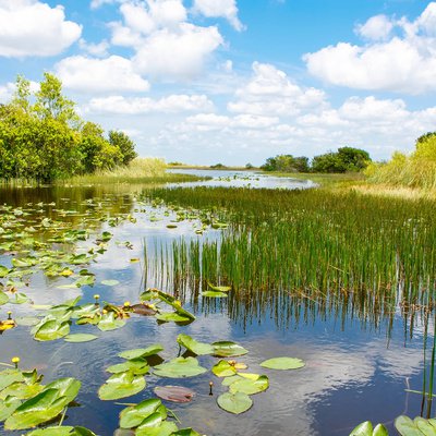 Wetlands central to sustainable development, human well-being: NECJ