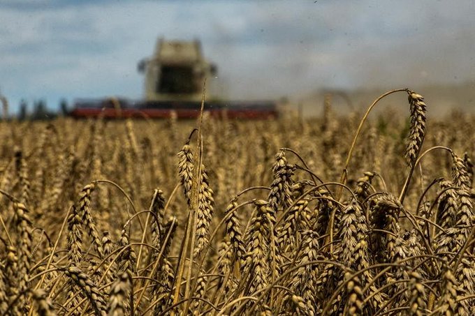 Global warming to boost wheat yield, drive up price volatility: Study