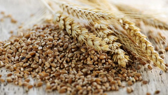 Whole Grain Impact on Global Food Security