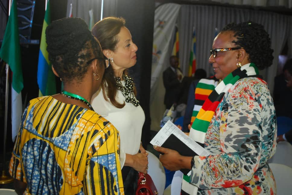 Visit Zimbabwe: Women in tourism desk  launches today
