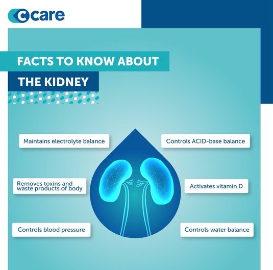 World Kidney Day 2024 focuses on Kidney Health For All