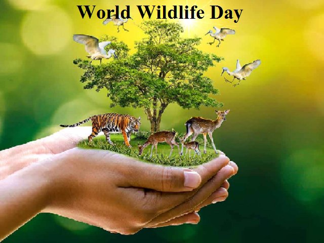 World Wildlife Day: Recovering key species for ecosystem restoration