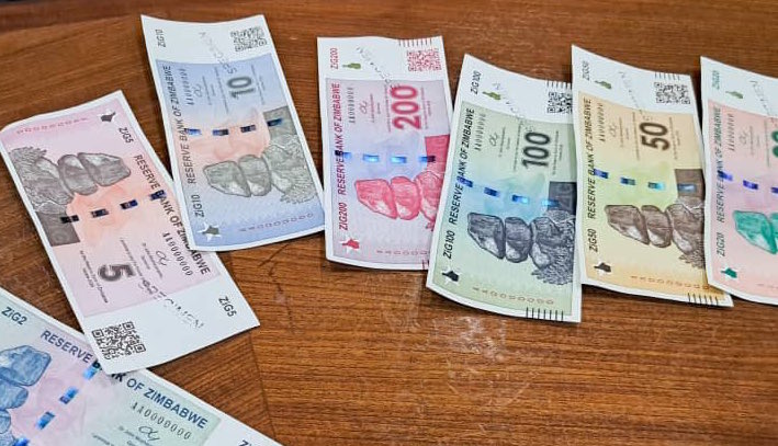 Zimbabwe’s currency ZiG survives into future if managed the UAE way