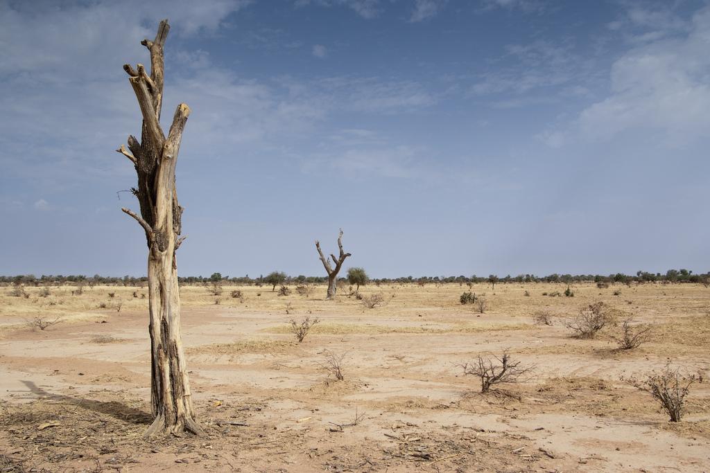 Climate Change – Why Africa’s Drylands Must Be Restored – Experts