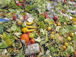 Food sustainability policies serve the world from wastage and loss of food