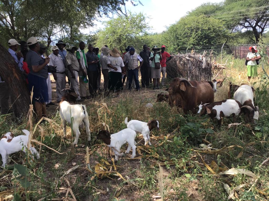 Government spearheads Sustainable Wildlife Management Programme (SWMP) in Binga
