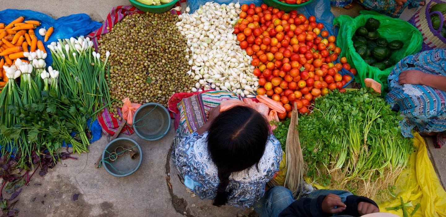 Partnerships leading to greater access to nutritious food and affordable diets