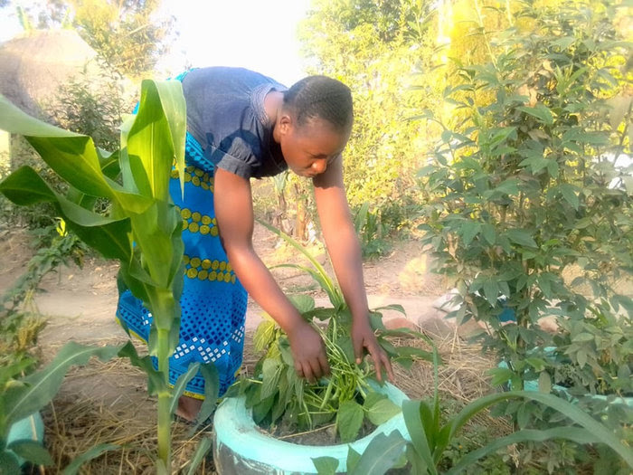 Youth farmer champions agro-ecology in her community